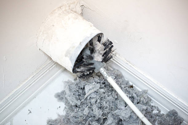 Air Duct Mold Removal in Arden On The Severn, MD